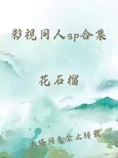 影视同人sp合集