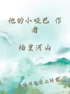 他的小哑巴 作者