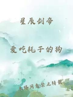 星辰剑帝