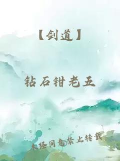 【剑道】